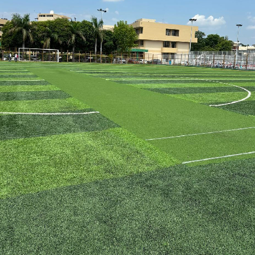 Natural Grass Ground for Cricket and Football, Hockey
